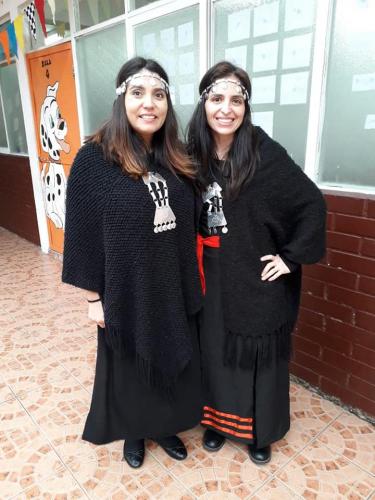 pueblos originarios 2019 1022